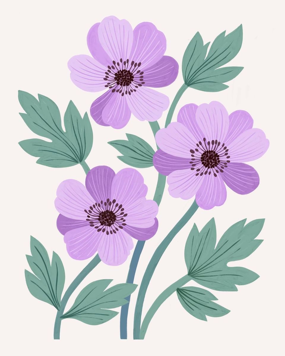 Illustrations freelancer