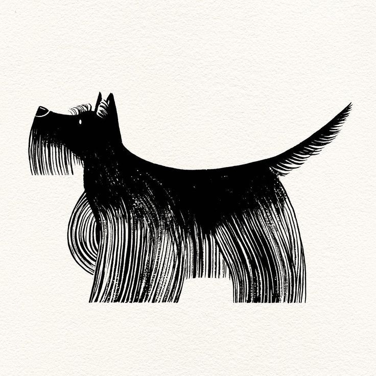 Illustrations freelancer