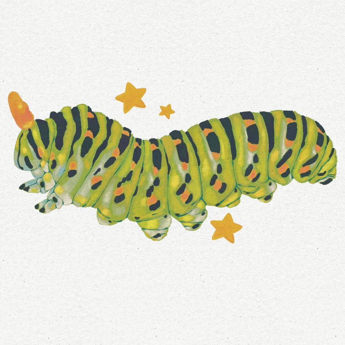 Illustrations freelancer