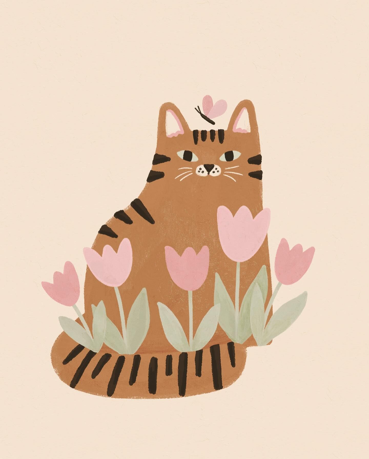 Illustrations freelancer