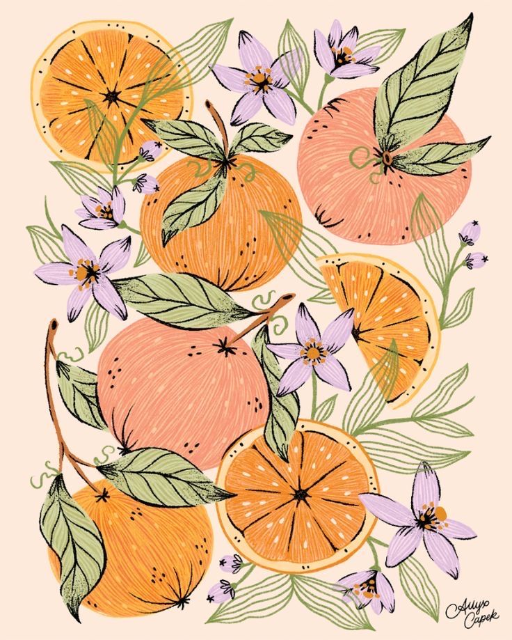 Illustrations freelancer