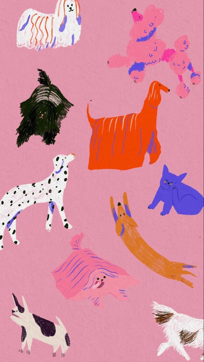 Illustrations freelancer