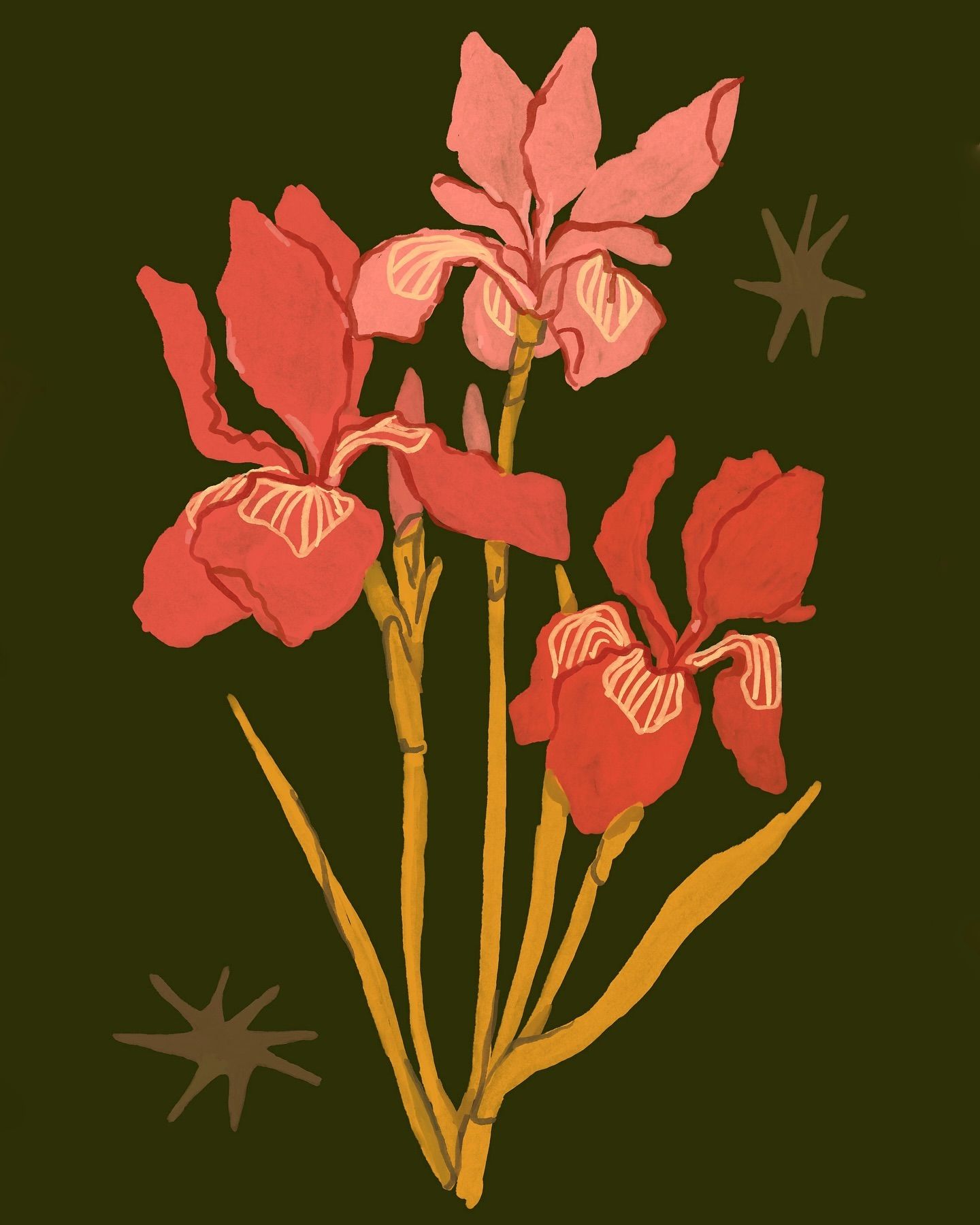 Illustrations freelancer
