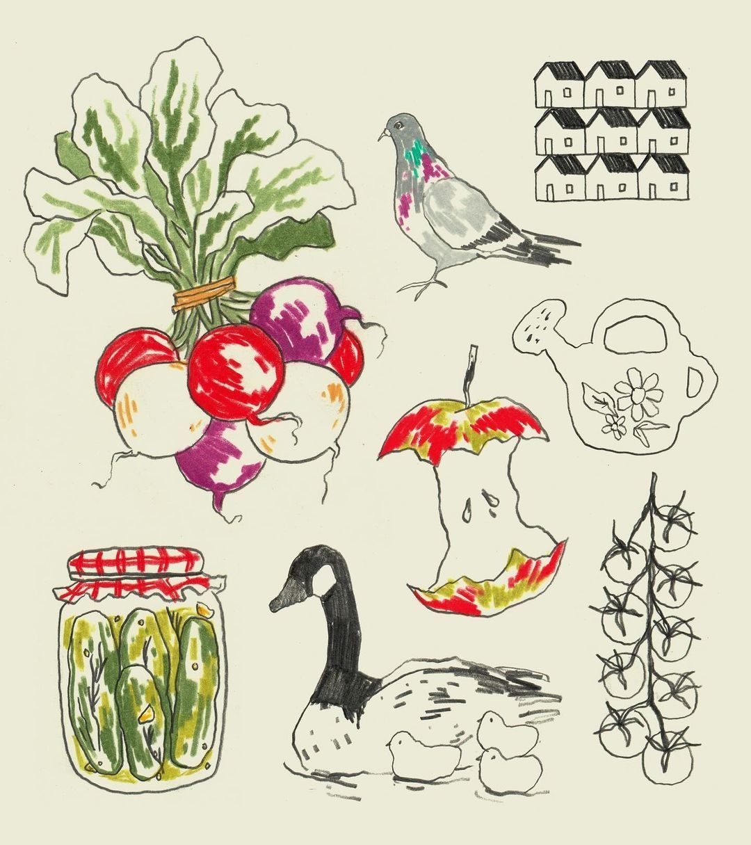 Illustrations freelancer