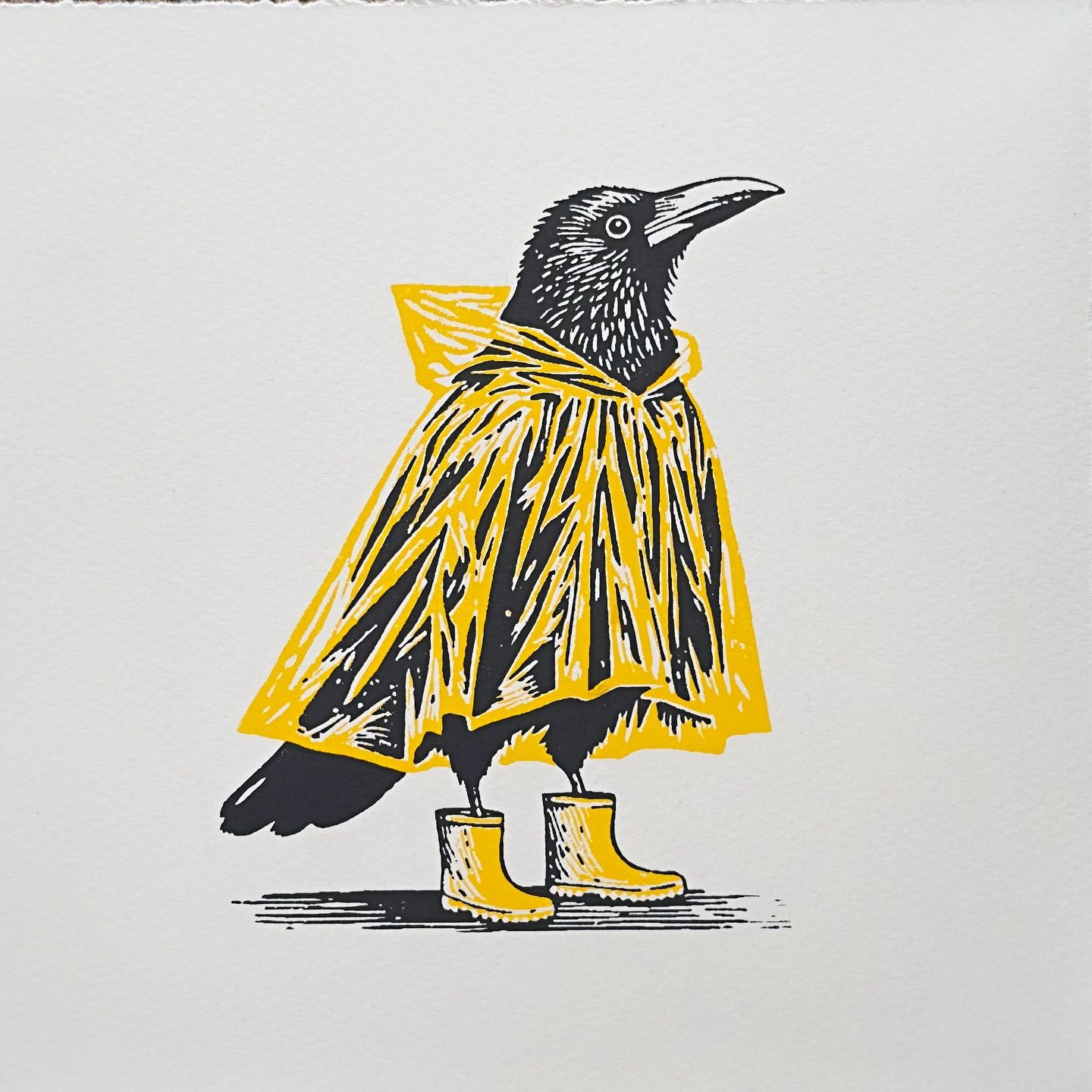 Illustrations freelancer