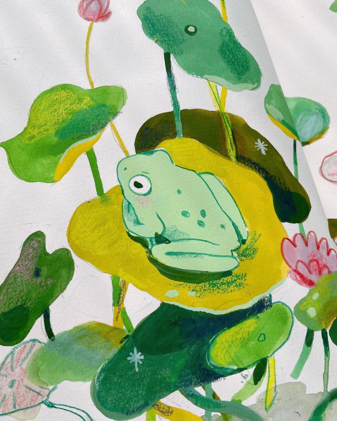 Illustrations freelancer
