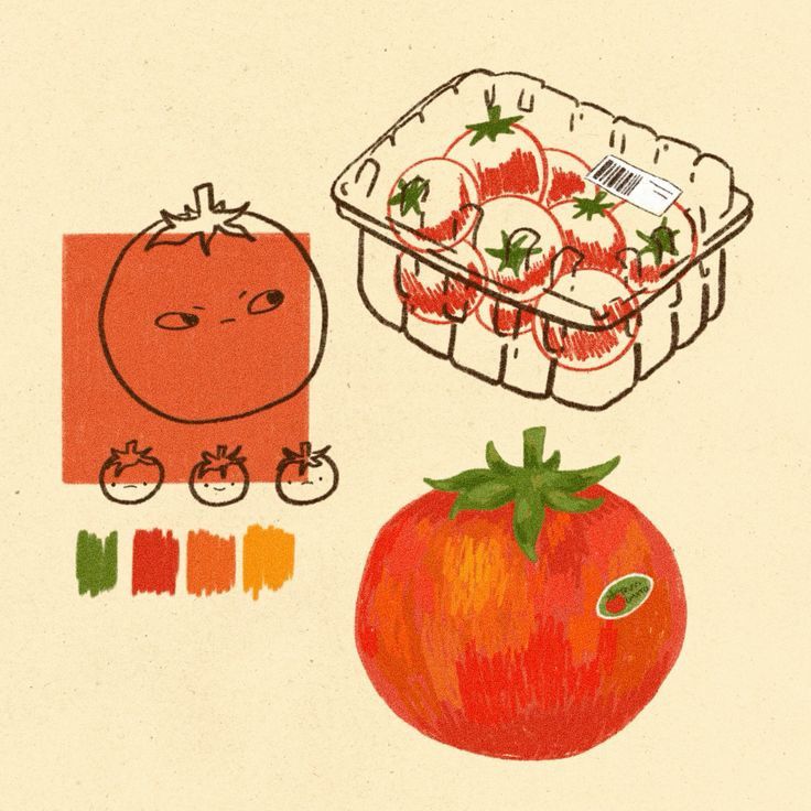 トマト🍅  Illustrations freelancer