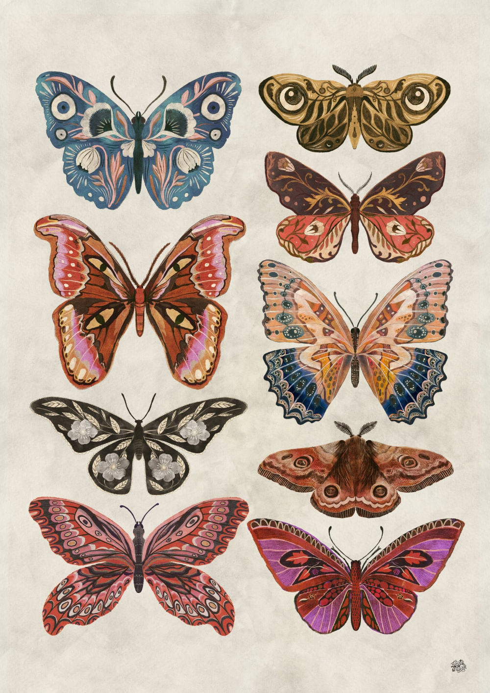 Fragile Insects and Botanicals Commingle in Żaneta Antosik’s Moody Digital Illustrations  Illustrations freelancer