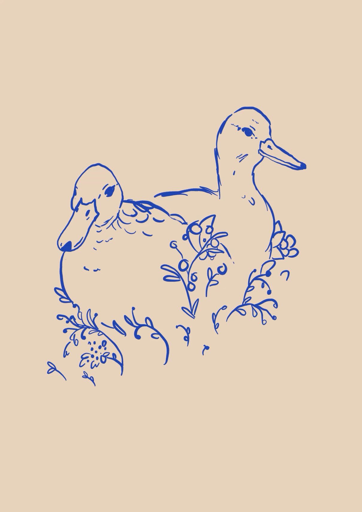 Ducks and blueberries  Illustrations freelancer