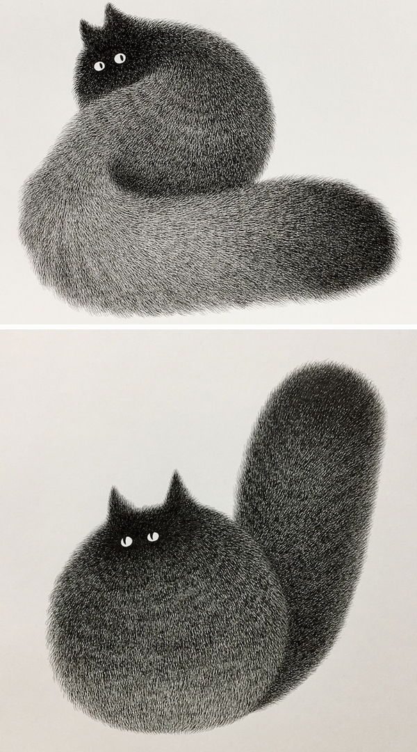 Charming Ink Drawings Reimagine Fluffy Black Cats as Adorable Balls of Fur  Illustrations freelancer