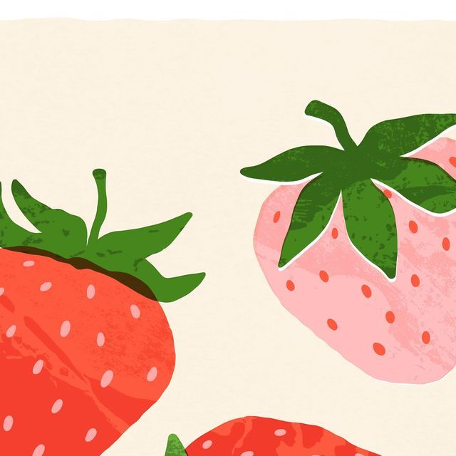Illustrations freelancer