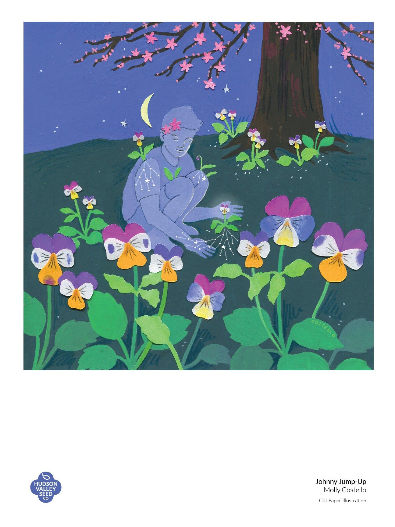 Johnny Jump-Up Fine Art Poster  Illustrations freelancer