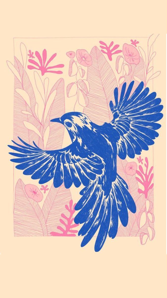 Blue bird  Illustrations freelancer