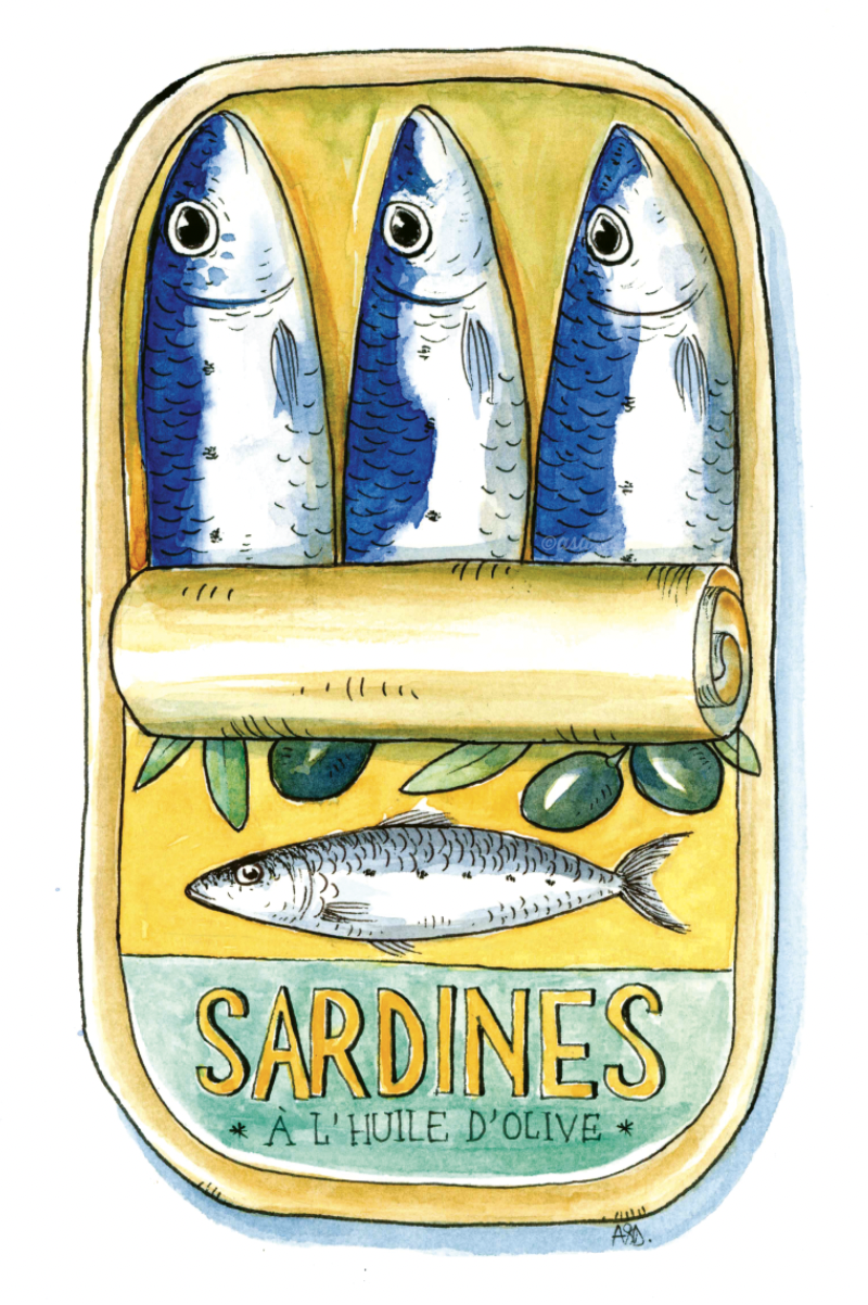 Tinned sardines  Illustrations freelancer