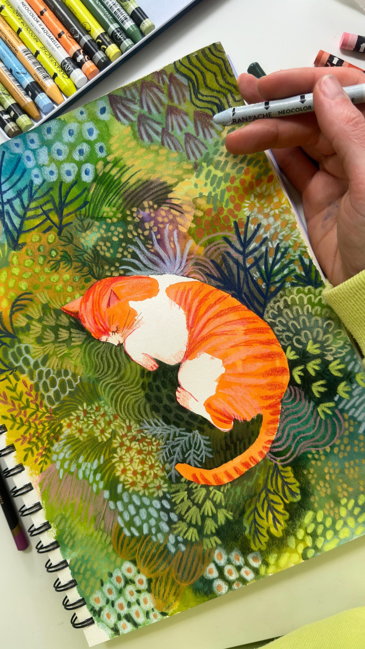 Illustrations freelancer