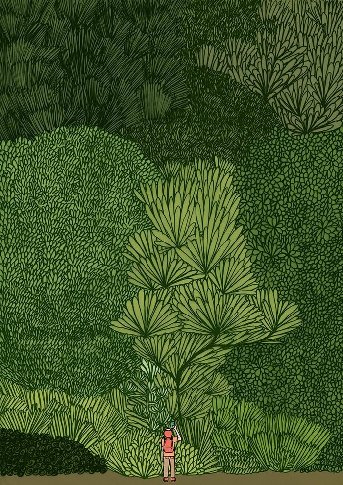 Illustrations freelancer