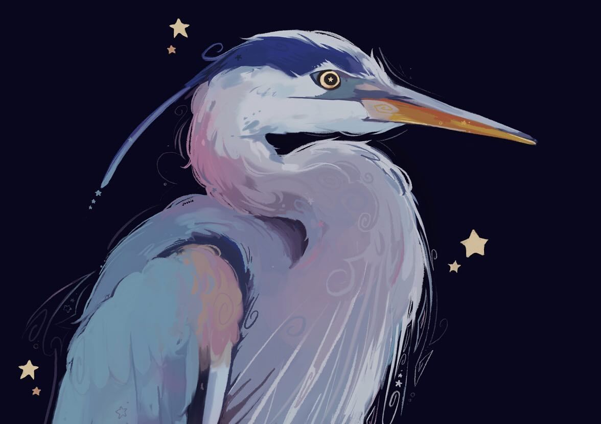 Illustrations freelancer