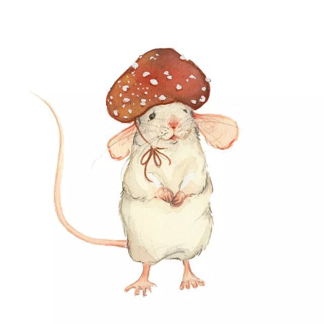 Illustrations freelancer