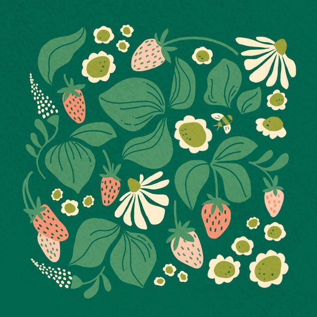 Illustrations freelancer